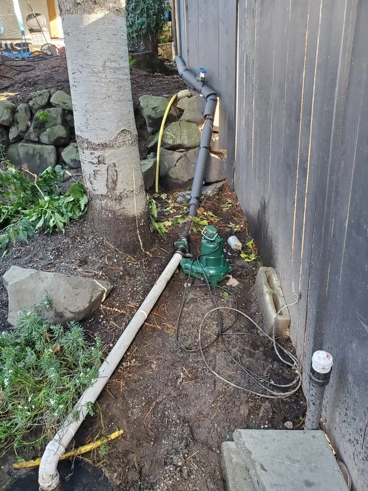 Affordable leak detection experts serving Tacoma, WA - Mega Mushroom Mechanical