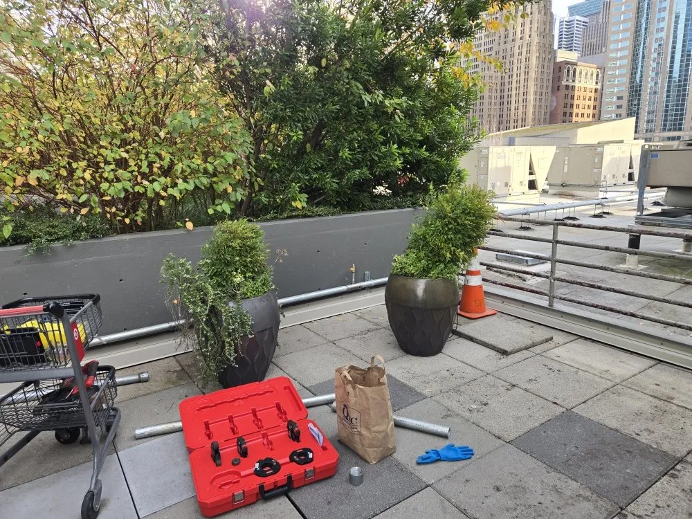 Slide of Mega Mushroom Mechanical