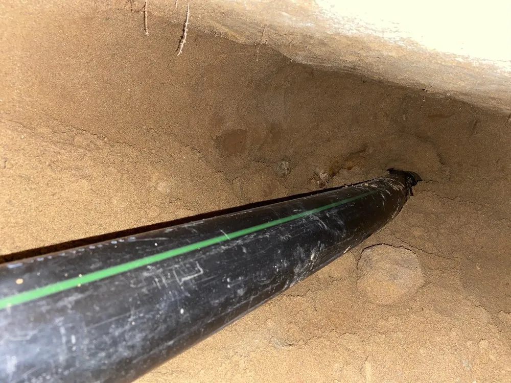 Trusted leak detection experts serving El Cajon, CA - Mega Rooter Plumbing