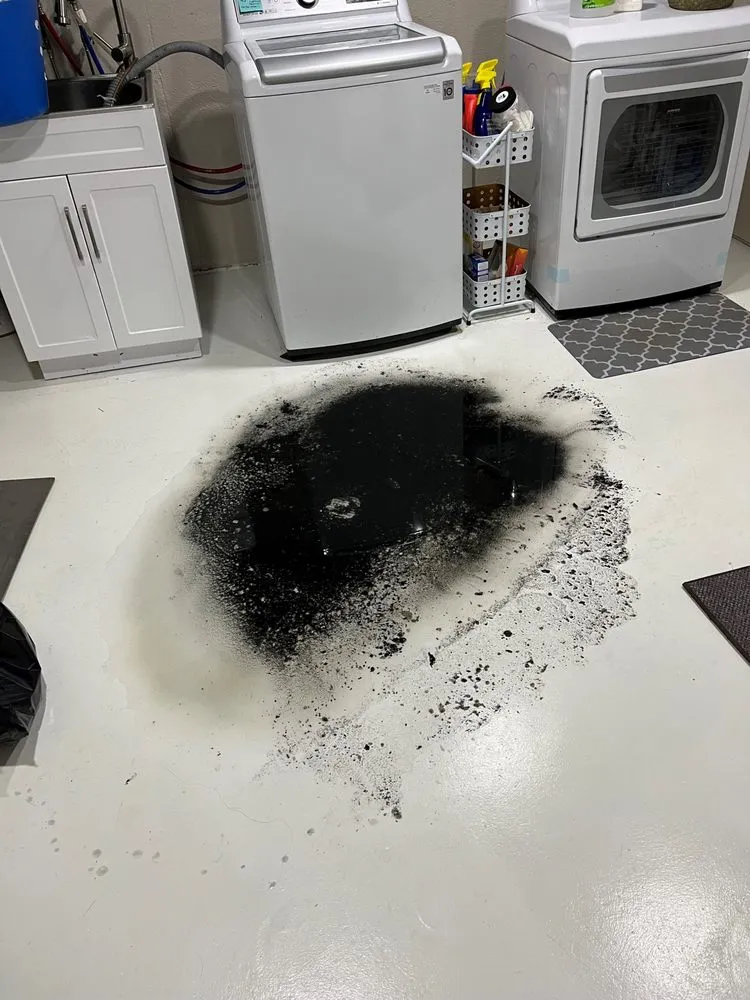 Slide of Mega Rooter