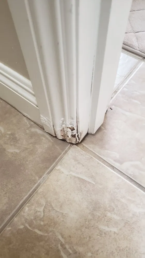 Slide of Mejia's Handyman