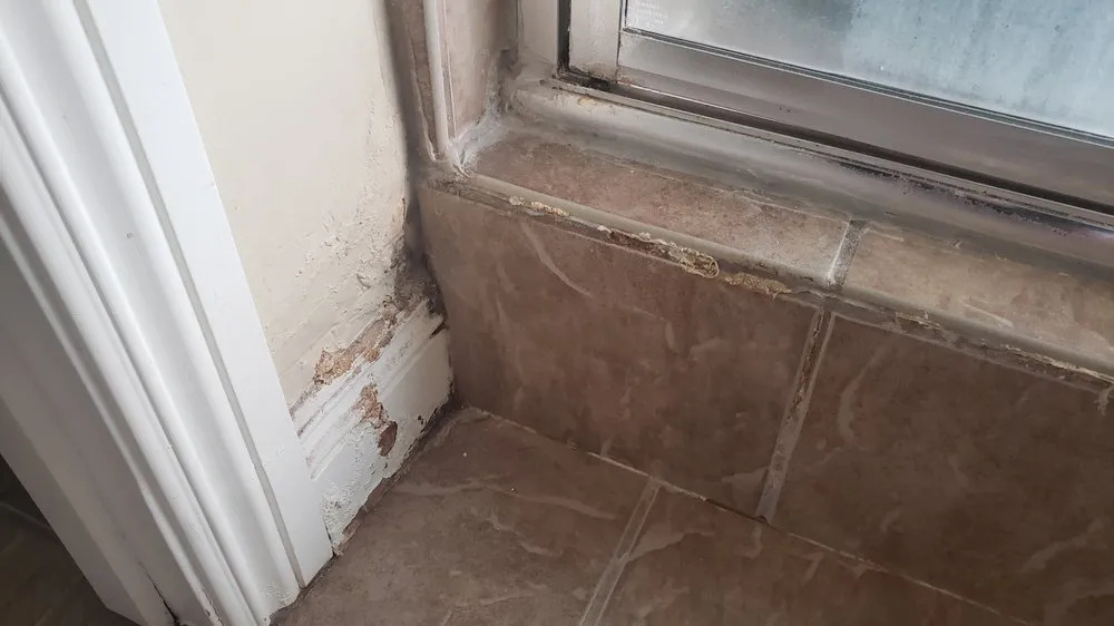 Slide of Mejia's Handyman