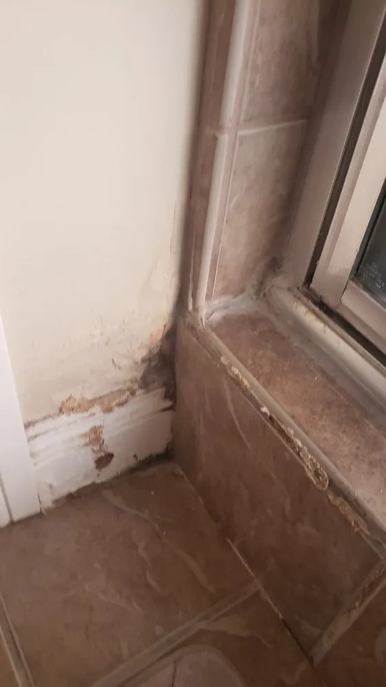 Slide of Mejia's Handyman