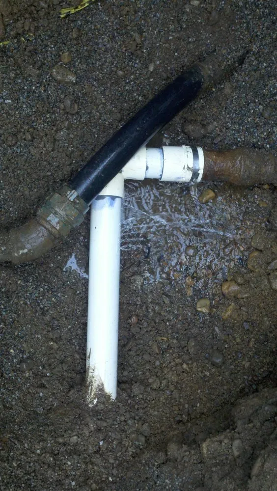 Slide of Melex Detection