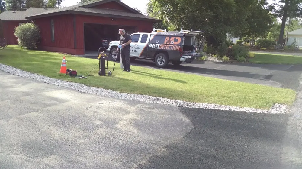 Slide of Melex Detection