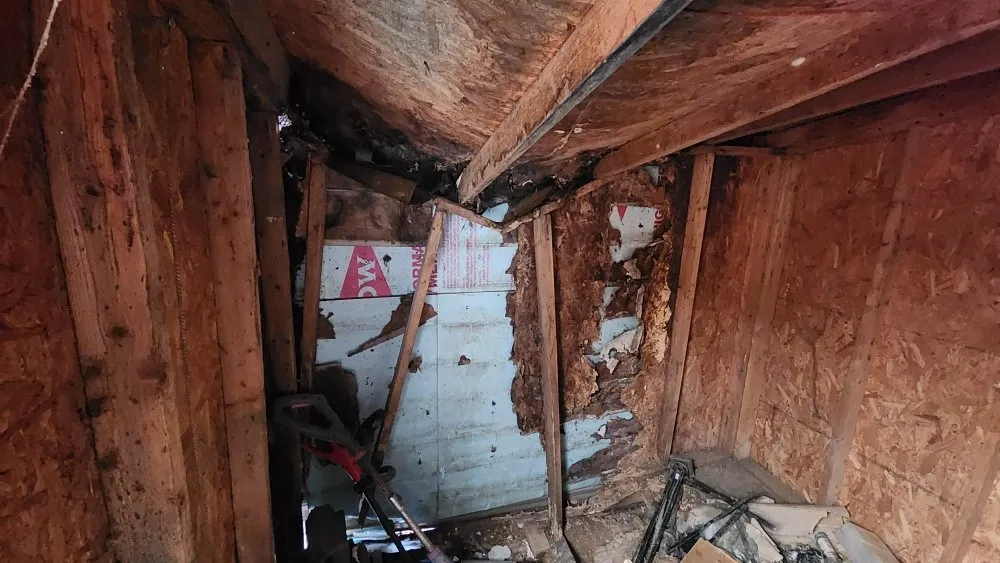 Slide of Memaw's Boys