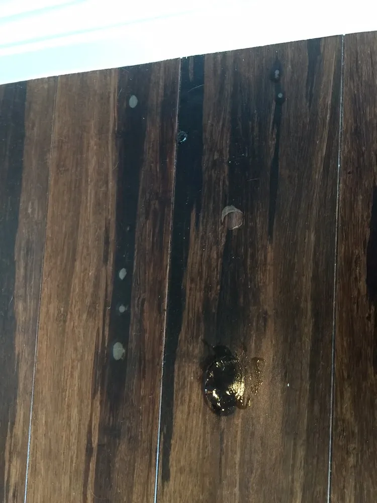 Slide of Mend Services