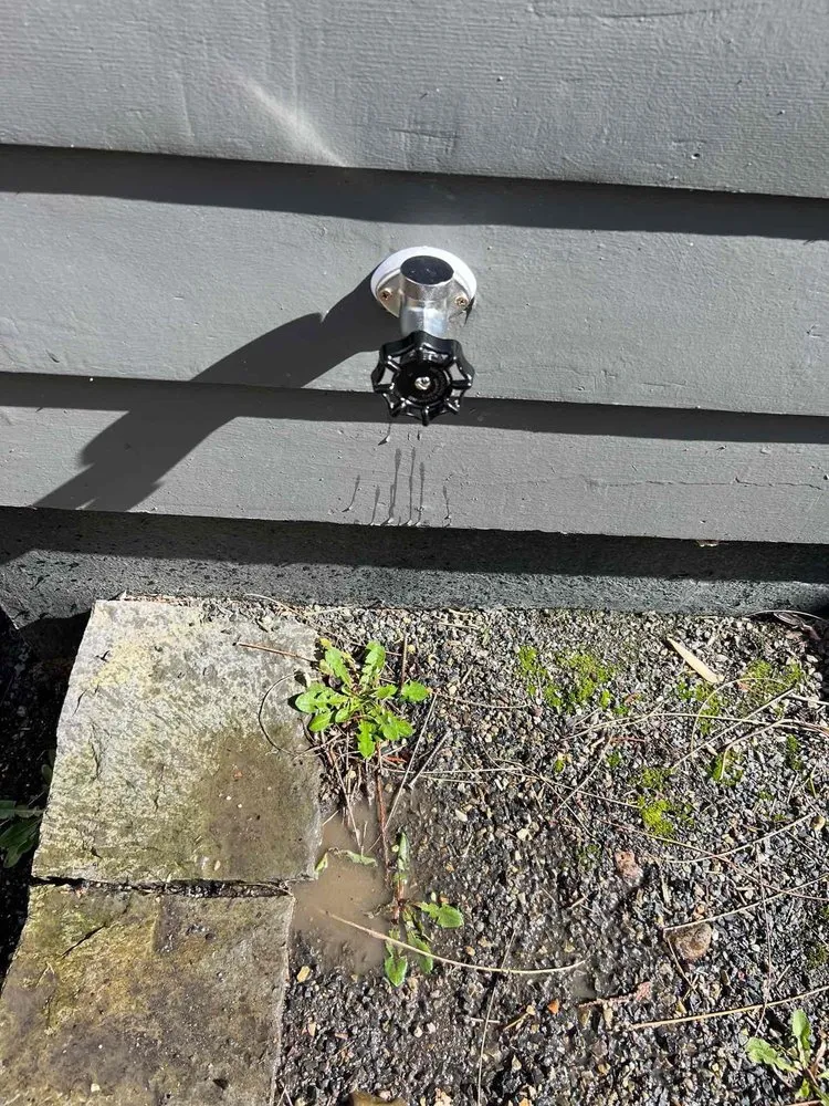 Slide of Meticulous Plumbing