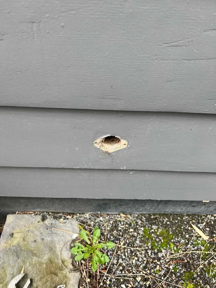 Slide of Meticulous Plumbing