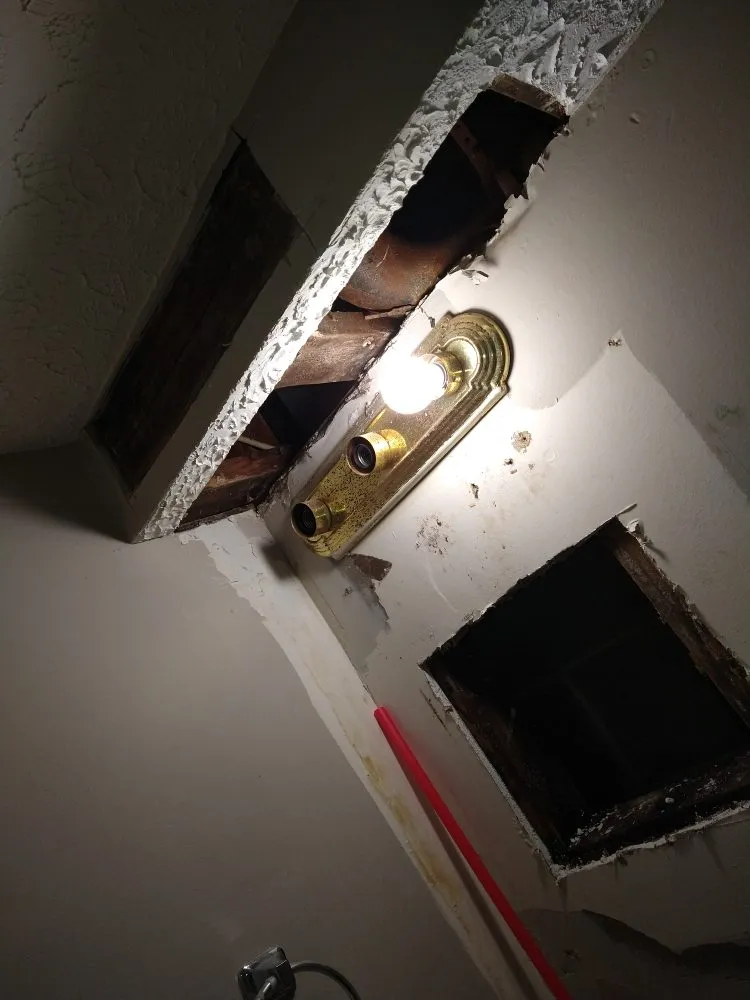 Slide of Meticulous Services