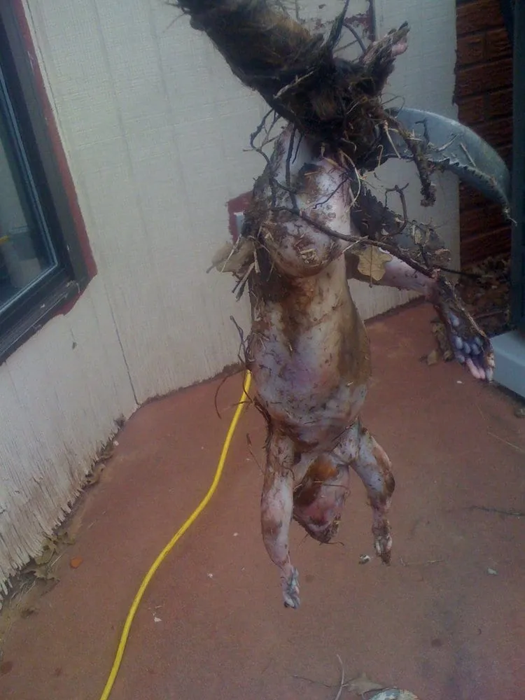 Slide of MetroRooter Plumbing