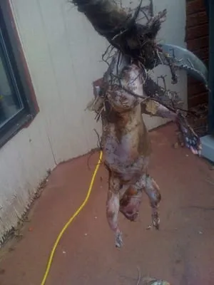 MetroRooter Plumbing Logo