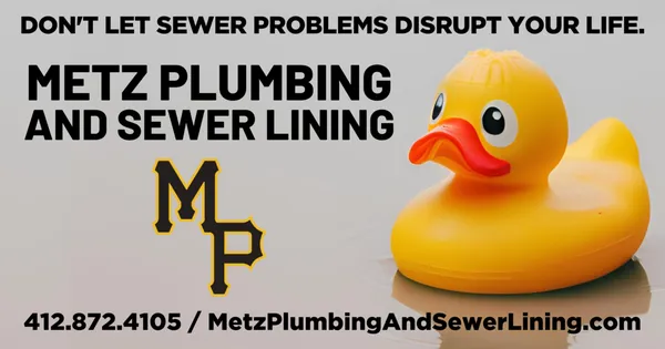Metz Plumbing & Sewer Lining