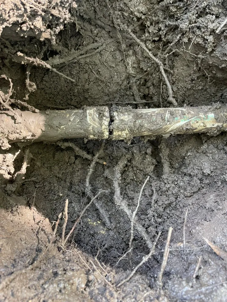 Slide of Meurin Services