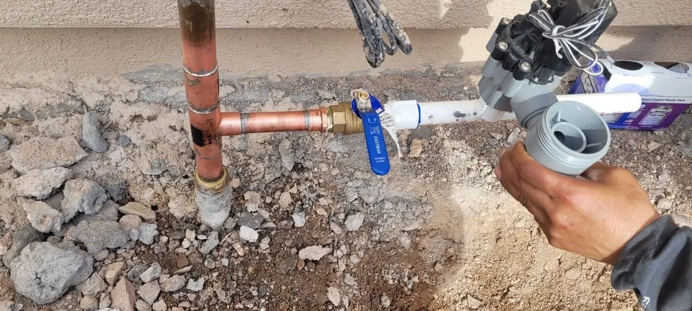 Slide of Meza Brothers