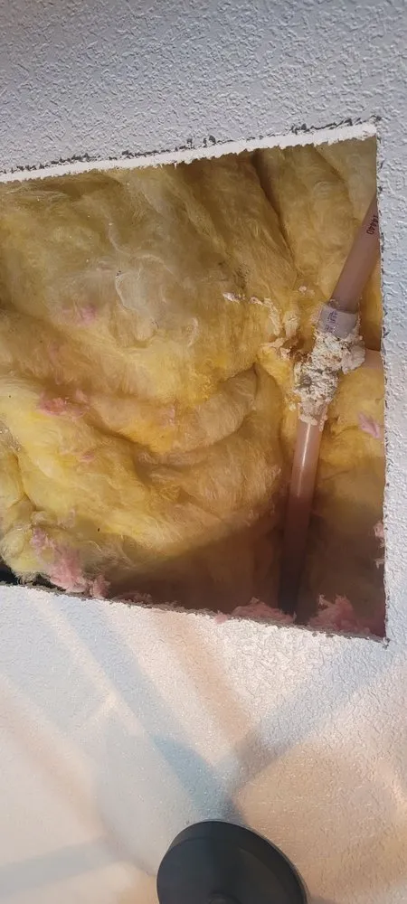 Slide of Meza Brothers