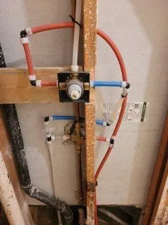 Slide of Meza Brothers