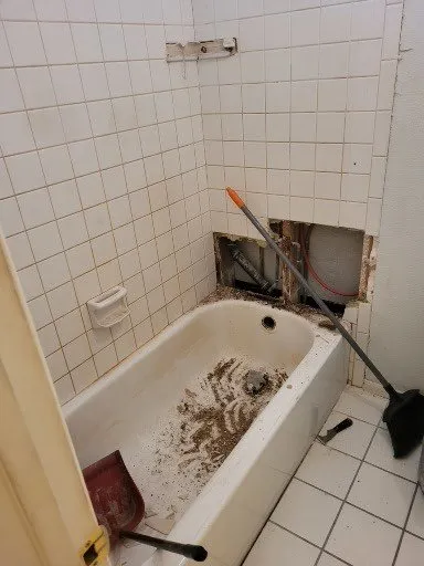 Slide of Meza Brothers