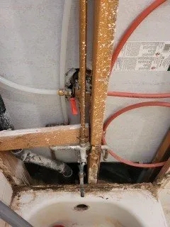 Slide of Meza Brothers