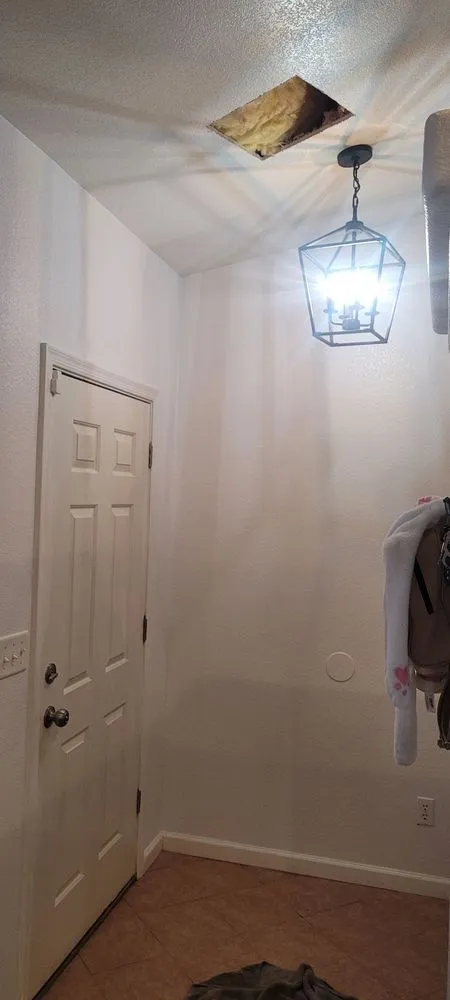 Slide of Meza Brothers