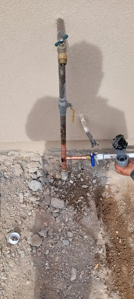 Slide of Meza Brothers