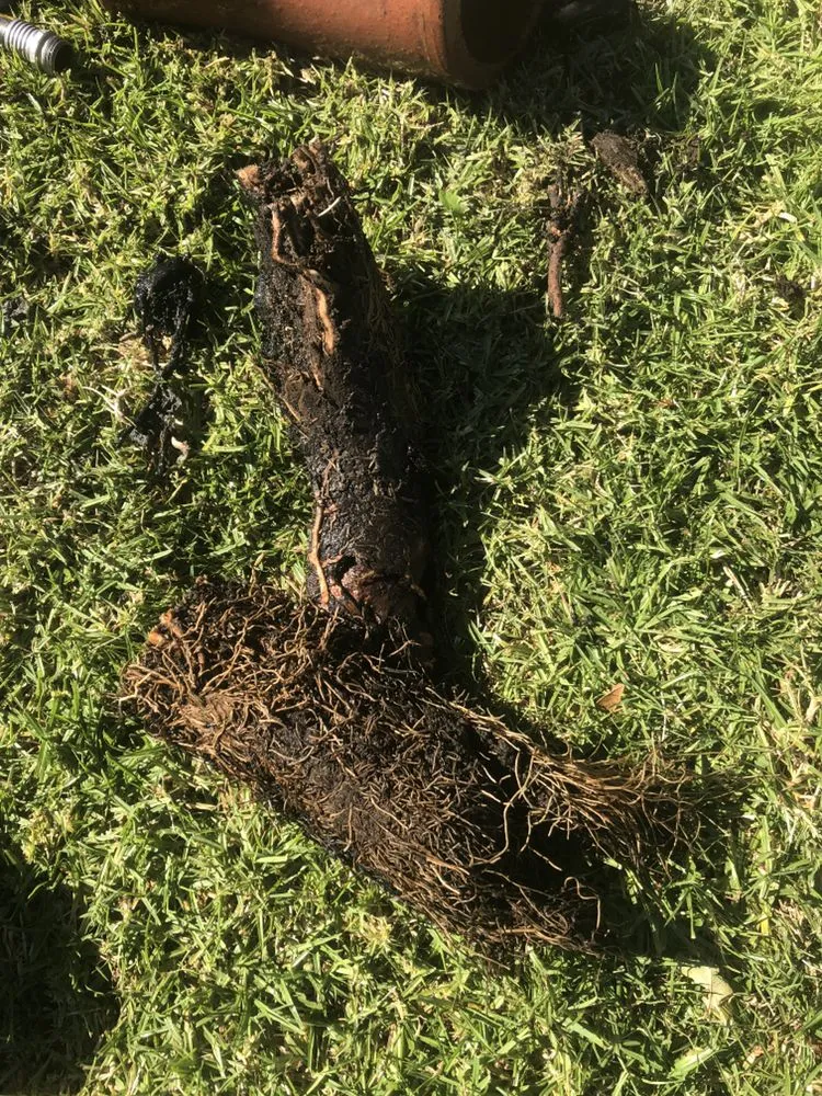 Slide of Meza Plumbing