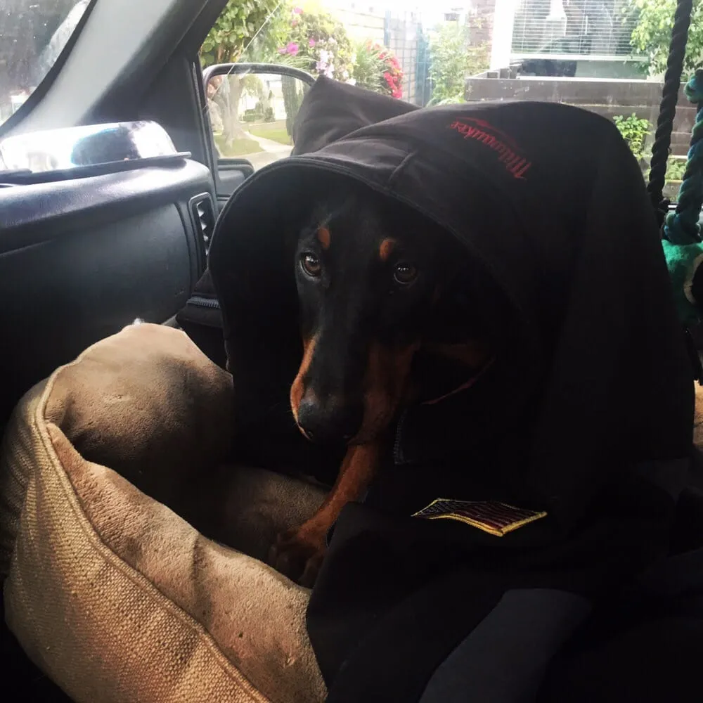 Reliable pipe repair experts serving Beverly Hills, CA - MFS Plumbing Services