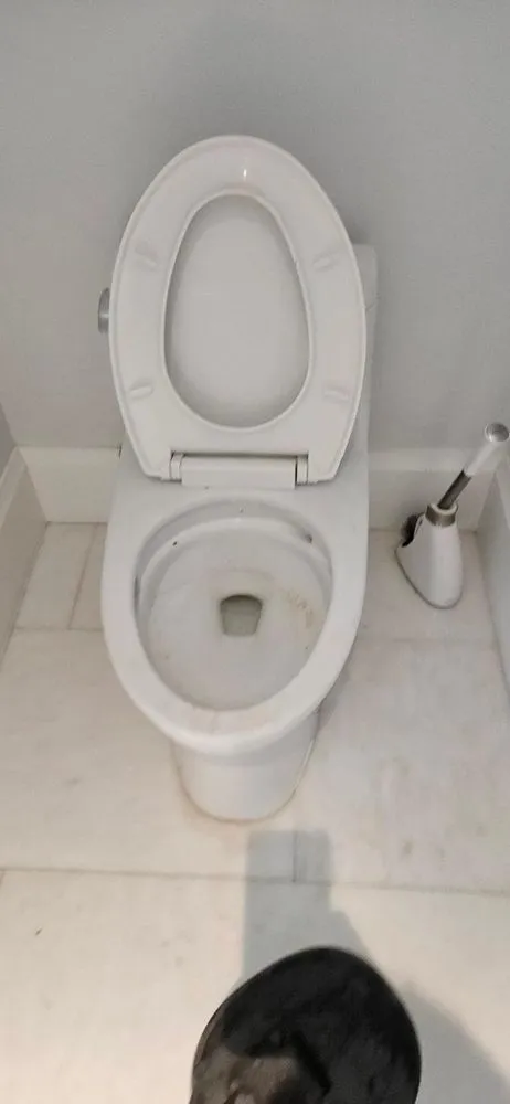 Slide of Miami 305 Plumbing