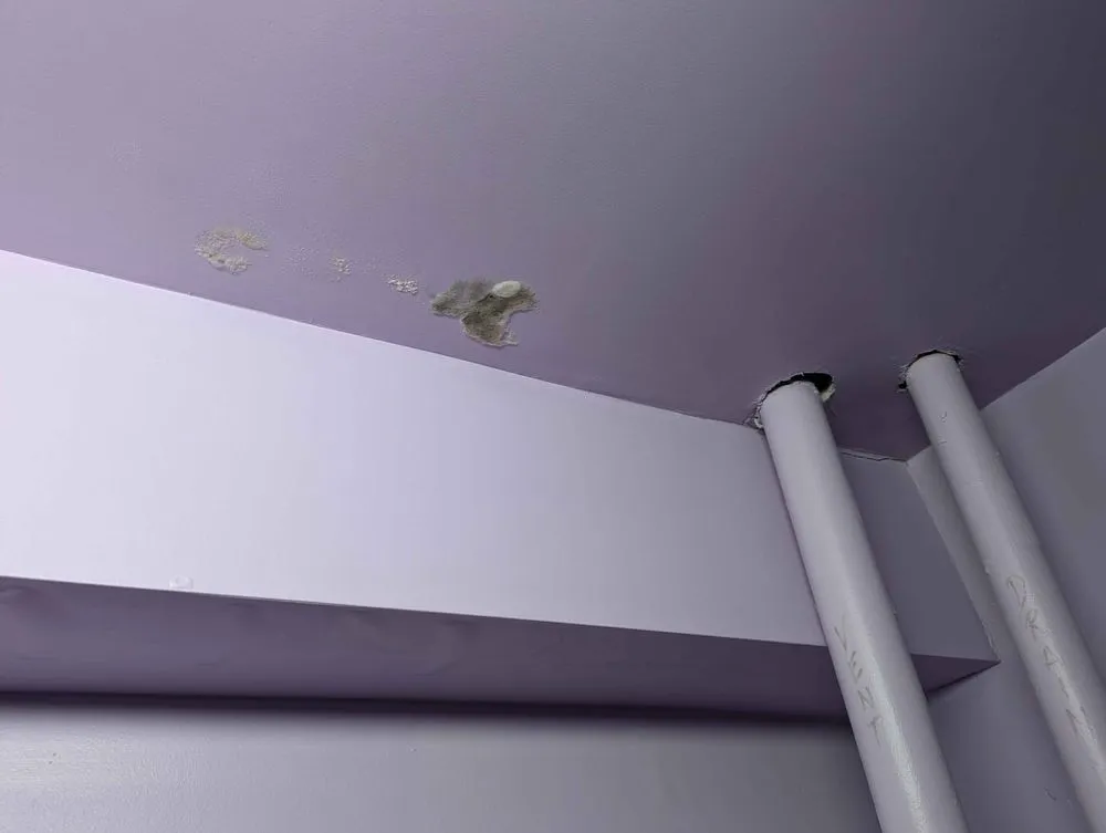 Quality leak detection service in Alexandria, VA - Michael & Son Services