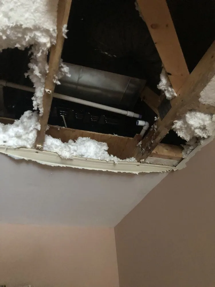 Trusted emergency plumbing for homes in Ruckersville, VA by Michael & Son Services Charlottesville