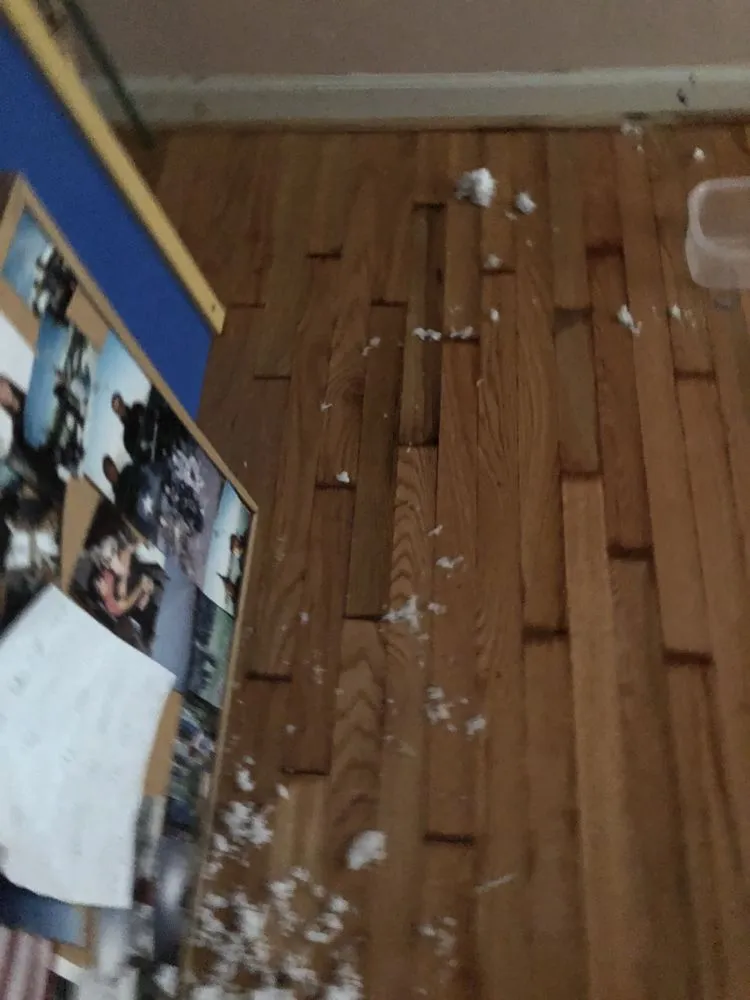 Slide of Michael & Son Services Charlottesville