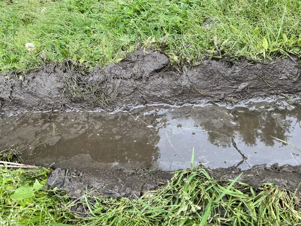 Slide of Michael & Son Services Chesapeake