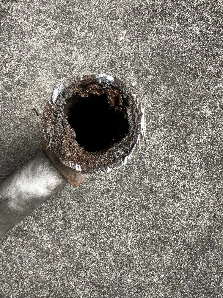 Top-rated drain cleaning service in Richmond, VA - Michael & Son Services Richmond