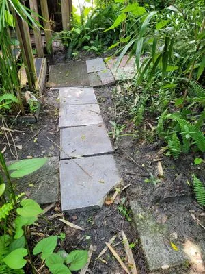 Michael Adams Plumbing