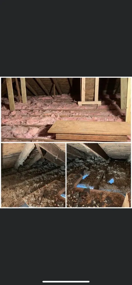 Slide of Michael-Angelo’s Home Improvement