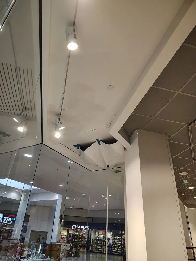 Slide of Michael Melloh Services