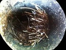 Slide of Michael Shute Plumbing