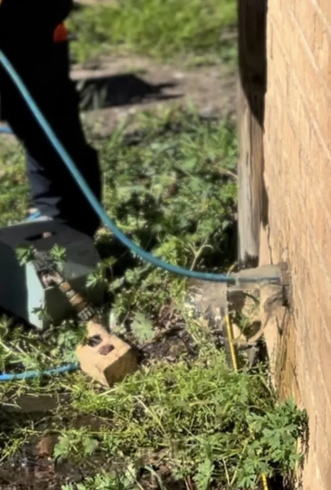 Slide of Michelangelo