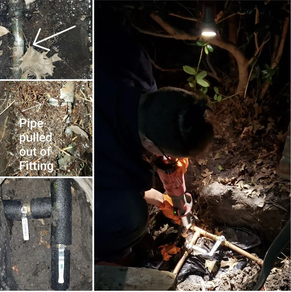 Slide of Michelangelo