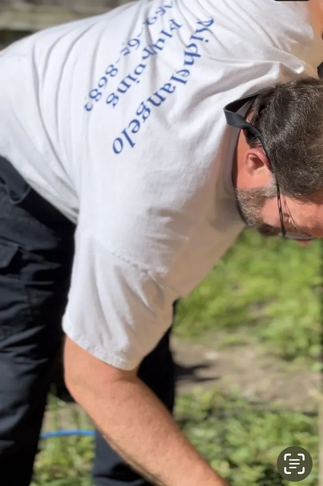 Slide of Michelangelo