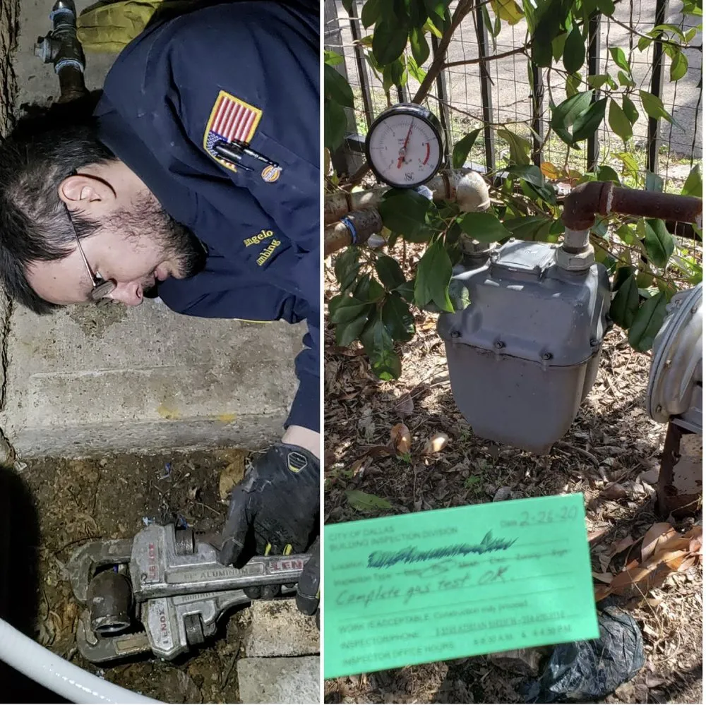 Slide of Michelangelo