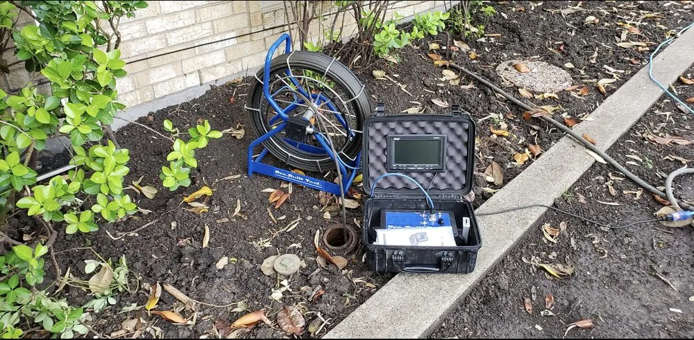 Slide of Michelangelo