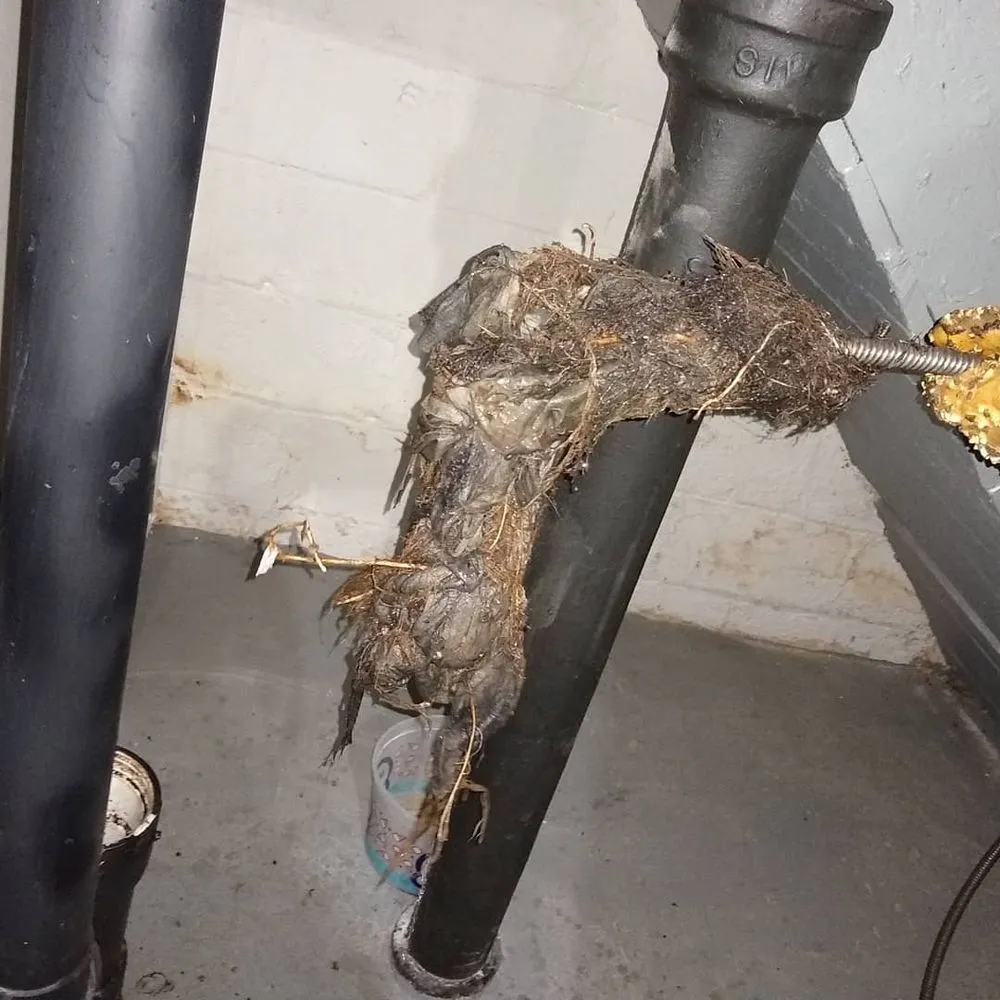 Slide of Michigan Drain