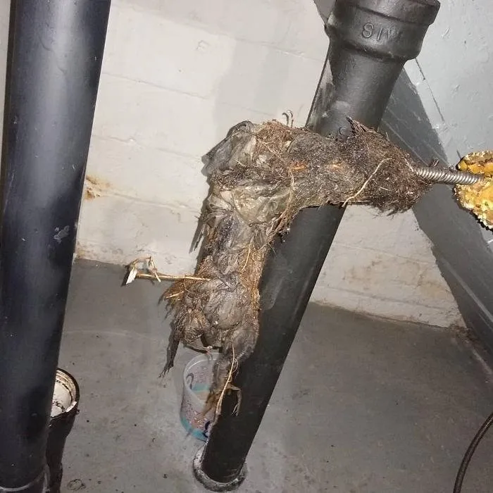 Slide of Michigan Drain