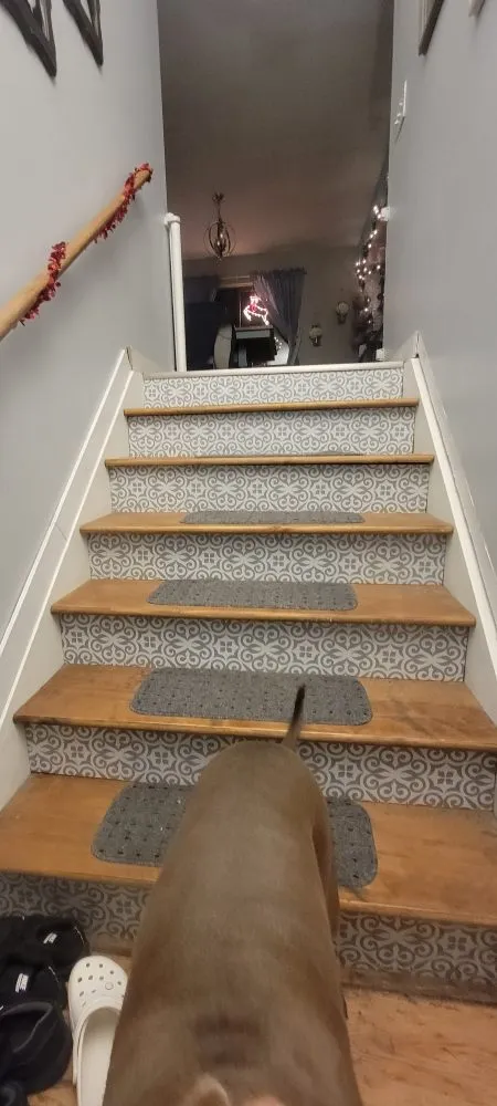 Slide of Michigan Sewer and Drain