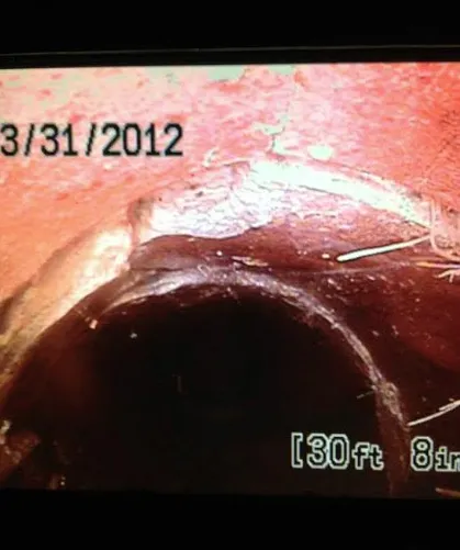 Slide of Michigan Supreme Plumbing & Drain Cleaning