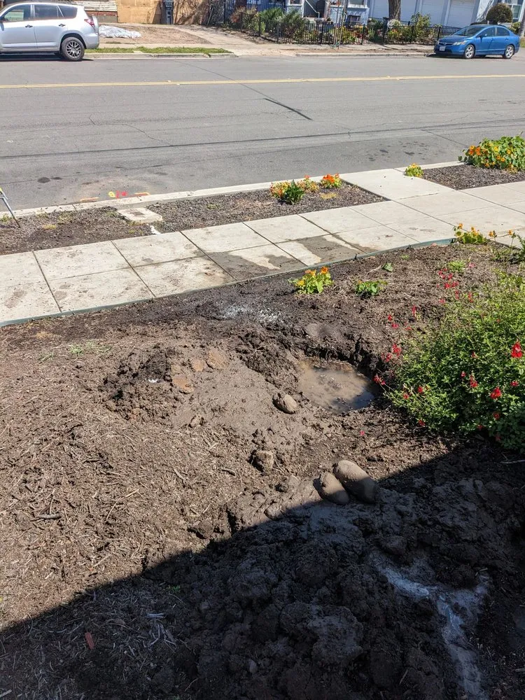 Slide of Mickey's Plumbing