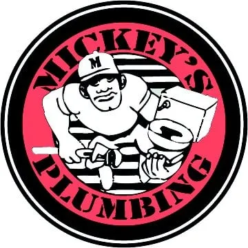 Slide of Mickey's Plumbing