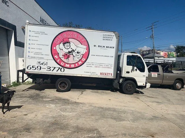 Slide of Mickey's Plumbing