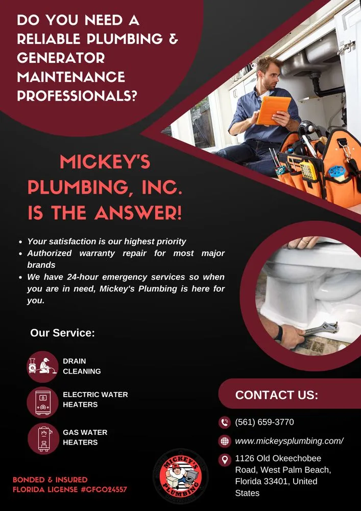 Slide of Mickey's Plumbing